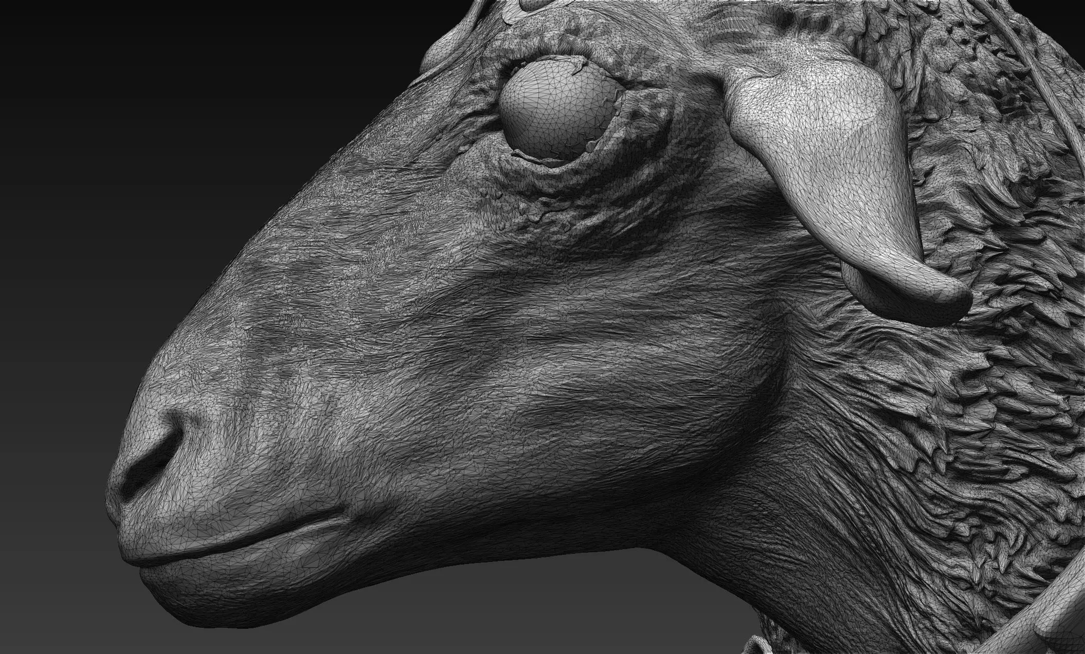 T Ocellus Alien Sheep 3D print model_9