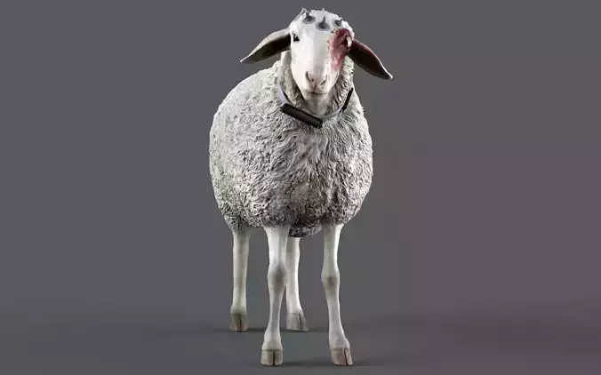 T Ocellus Alien Sheep