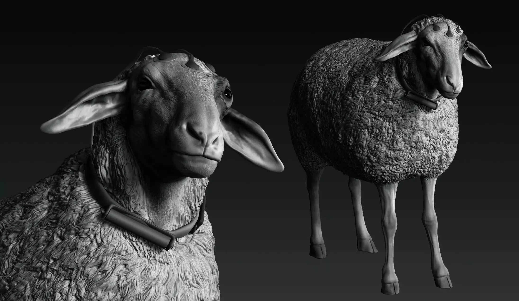 T Ocellus Alien Sheep 3D print model_7