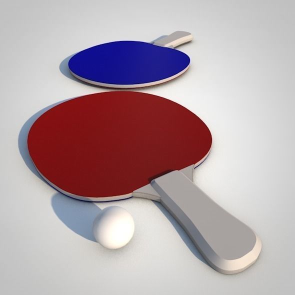 Ping Pong Paddle 3D model