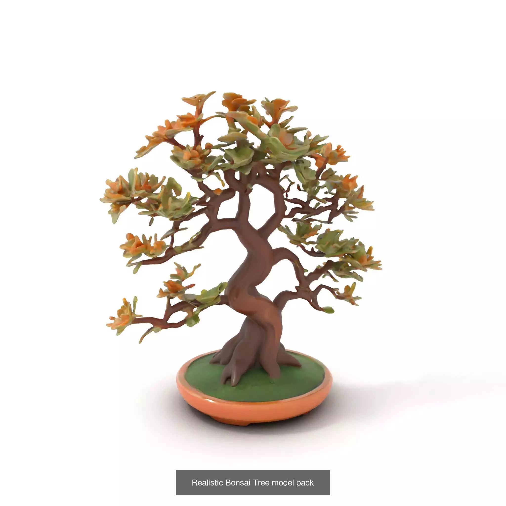 Whimsical Nature Models Pack 3D Model Collection_34