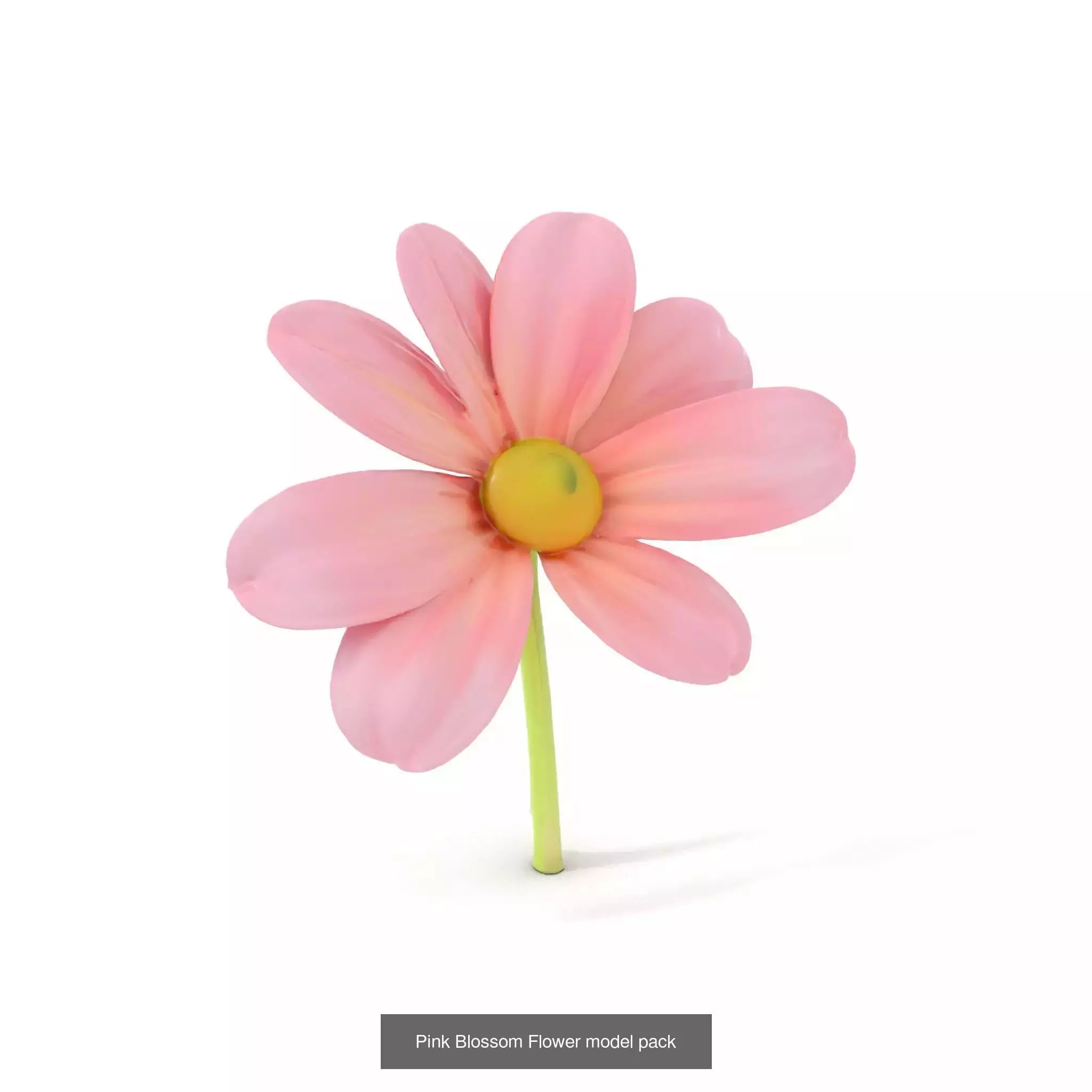 Whimsical Nature Models Pack 3D Model Collection_45