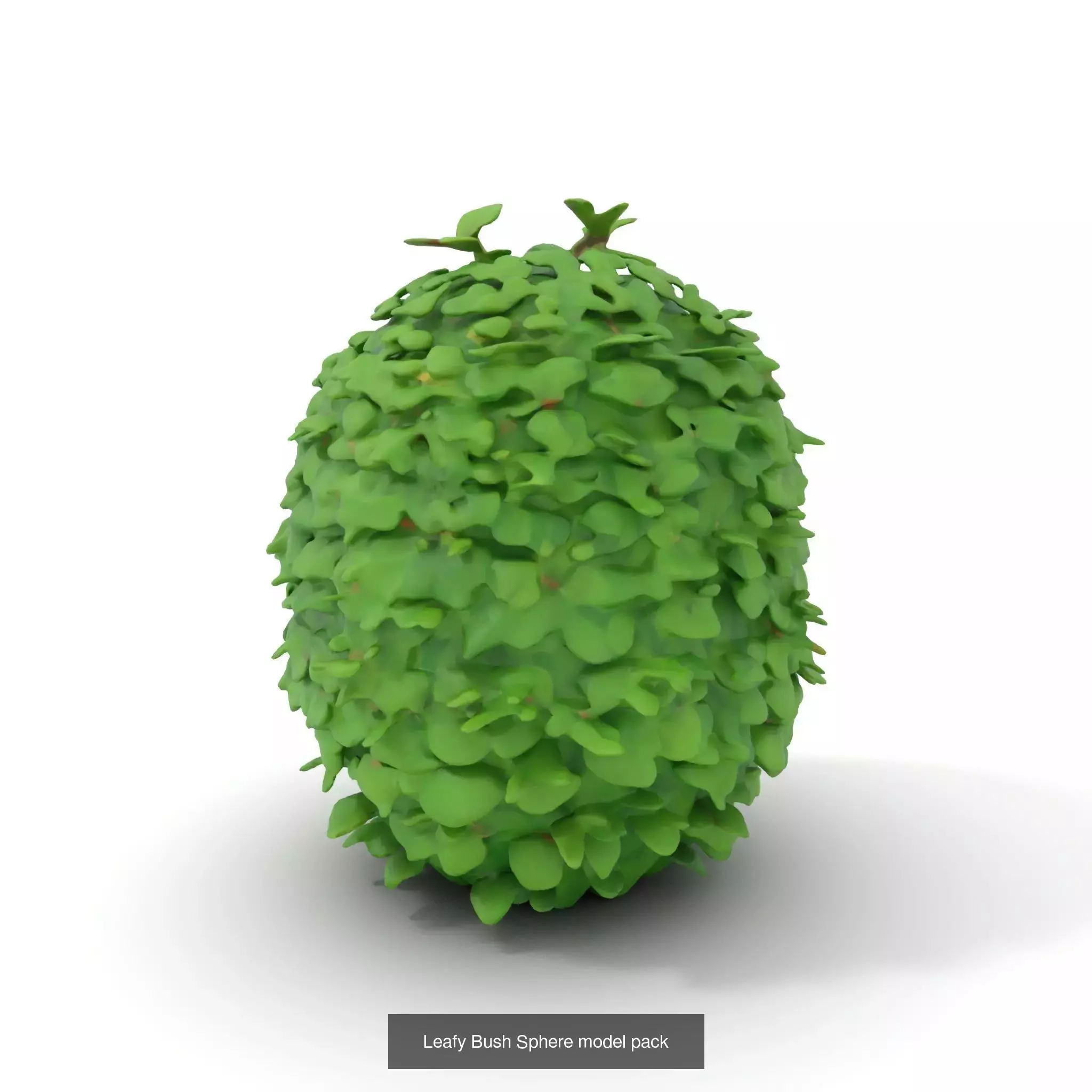 Whimsical Nature Models Pack 3D Model Collection_50