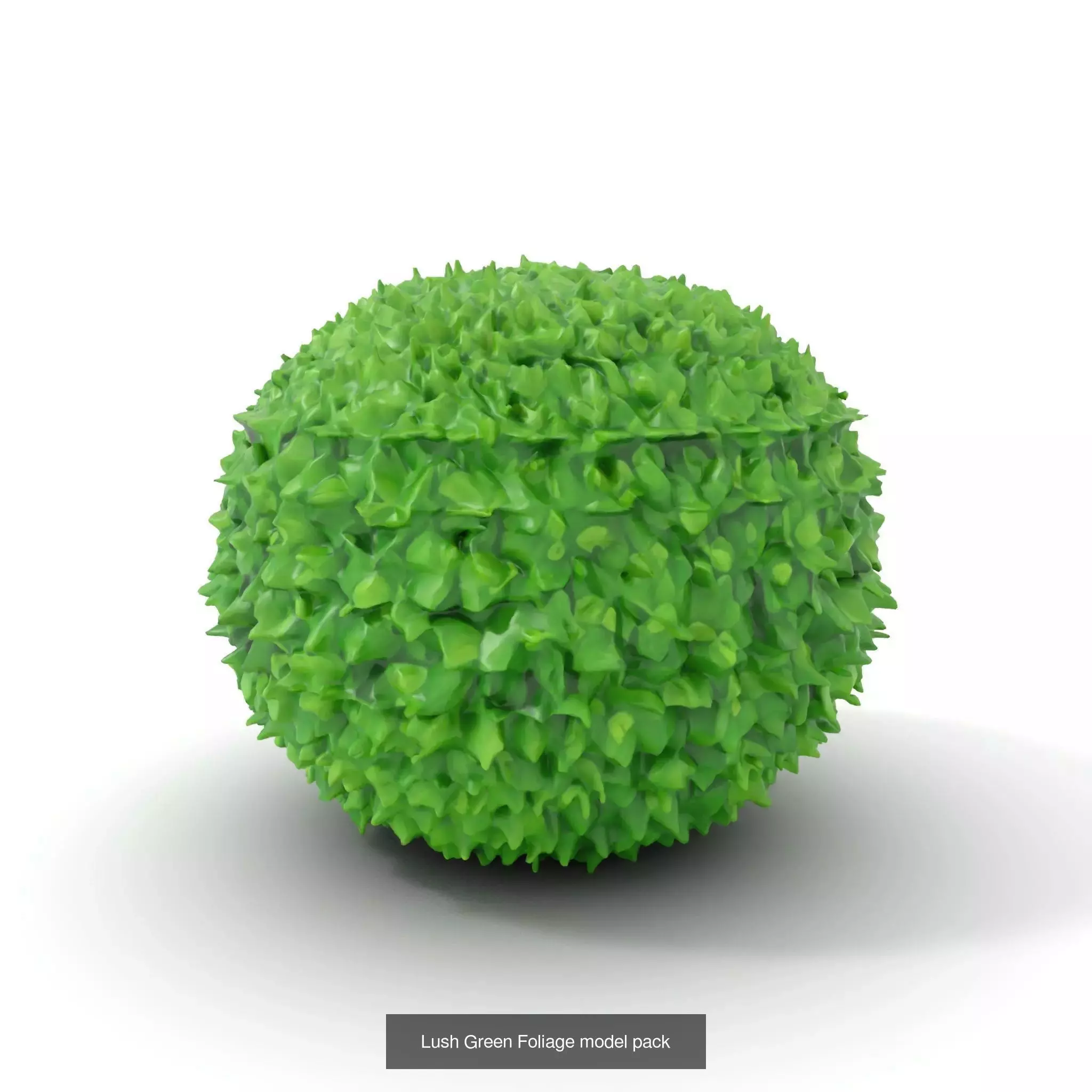 Whimsical Nature Models Pack 3D Model Collection_52