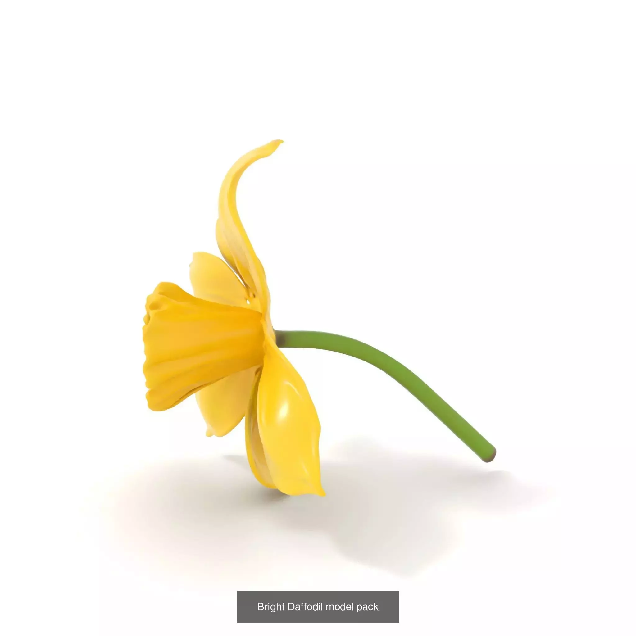 Whimsical Nature Models Pack 3D Model Collection_44