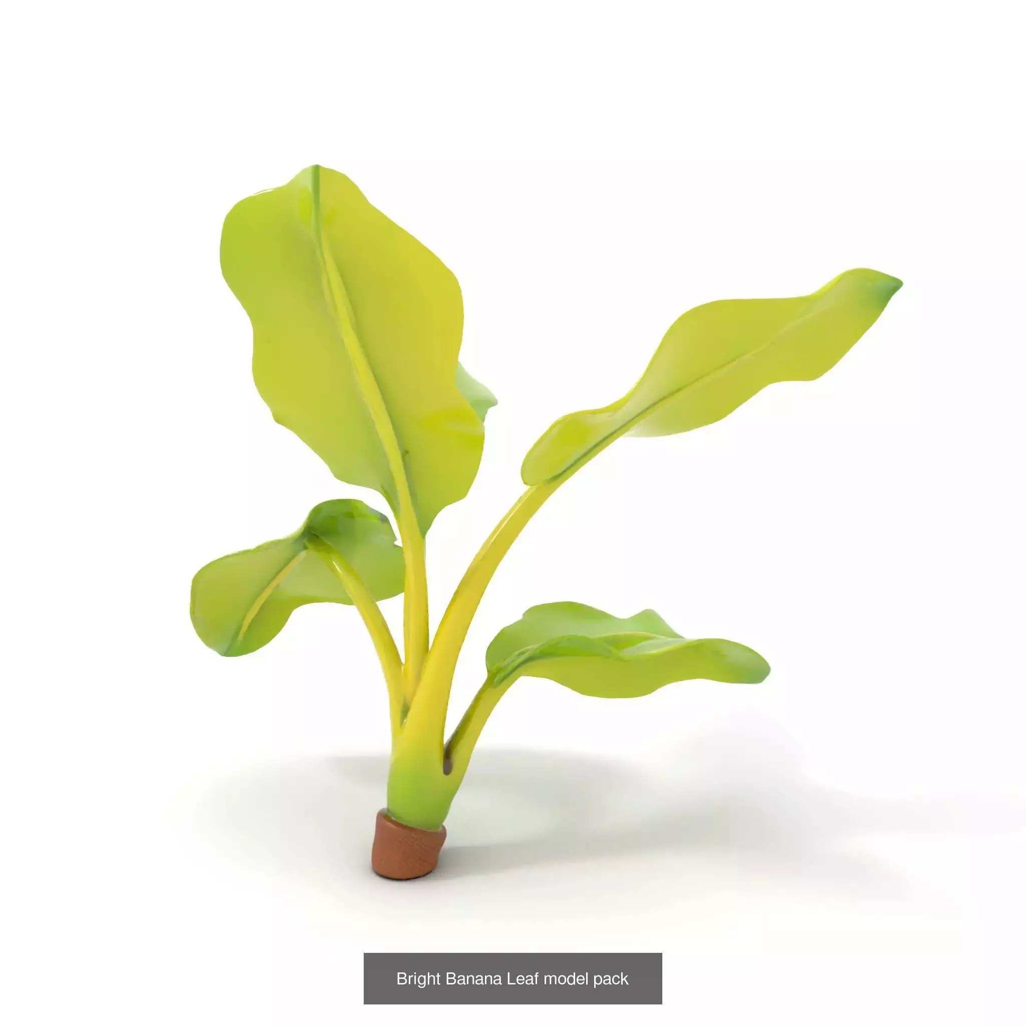 Whimsical Nature Models Pack 3D Model Collection_56