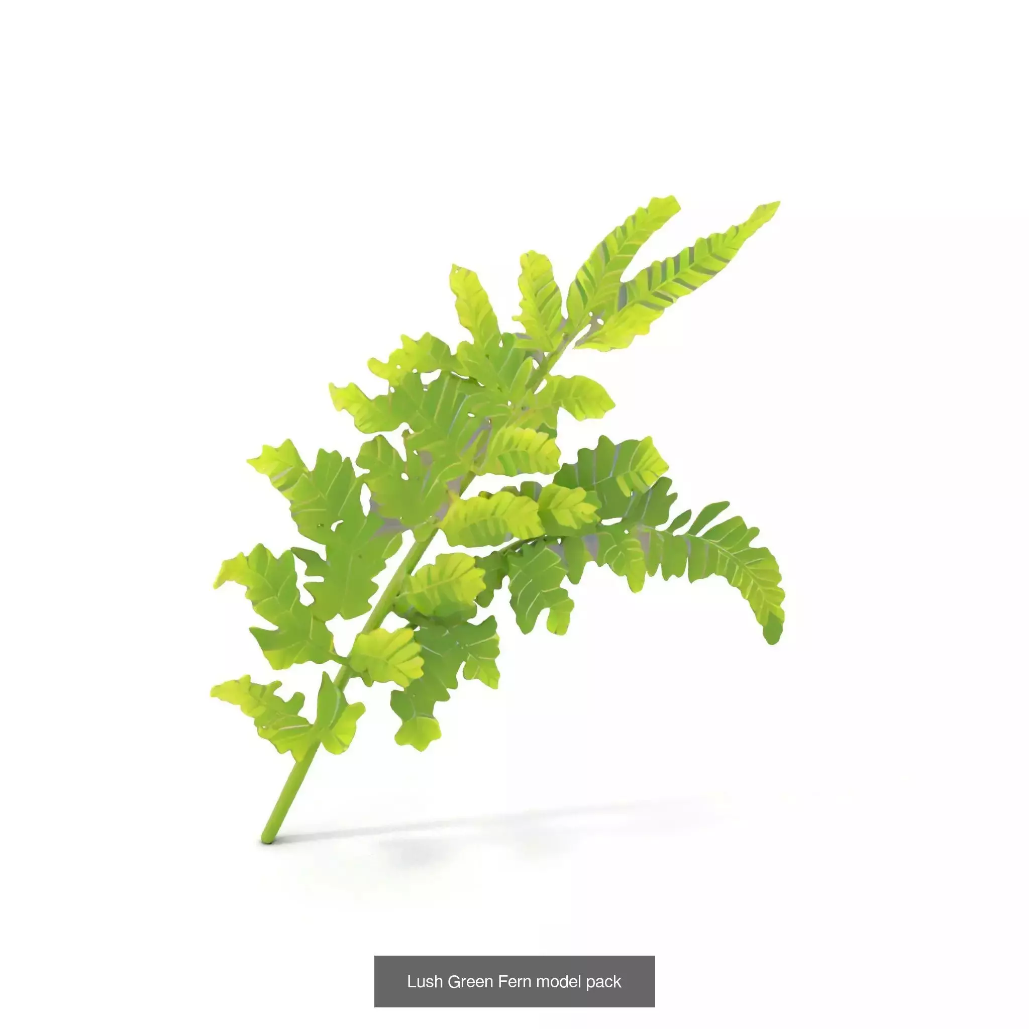 Whimsical Nature Models Pack 3D Model Collection_43