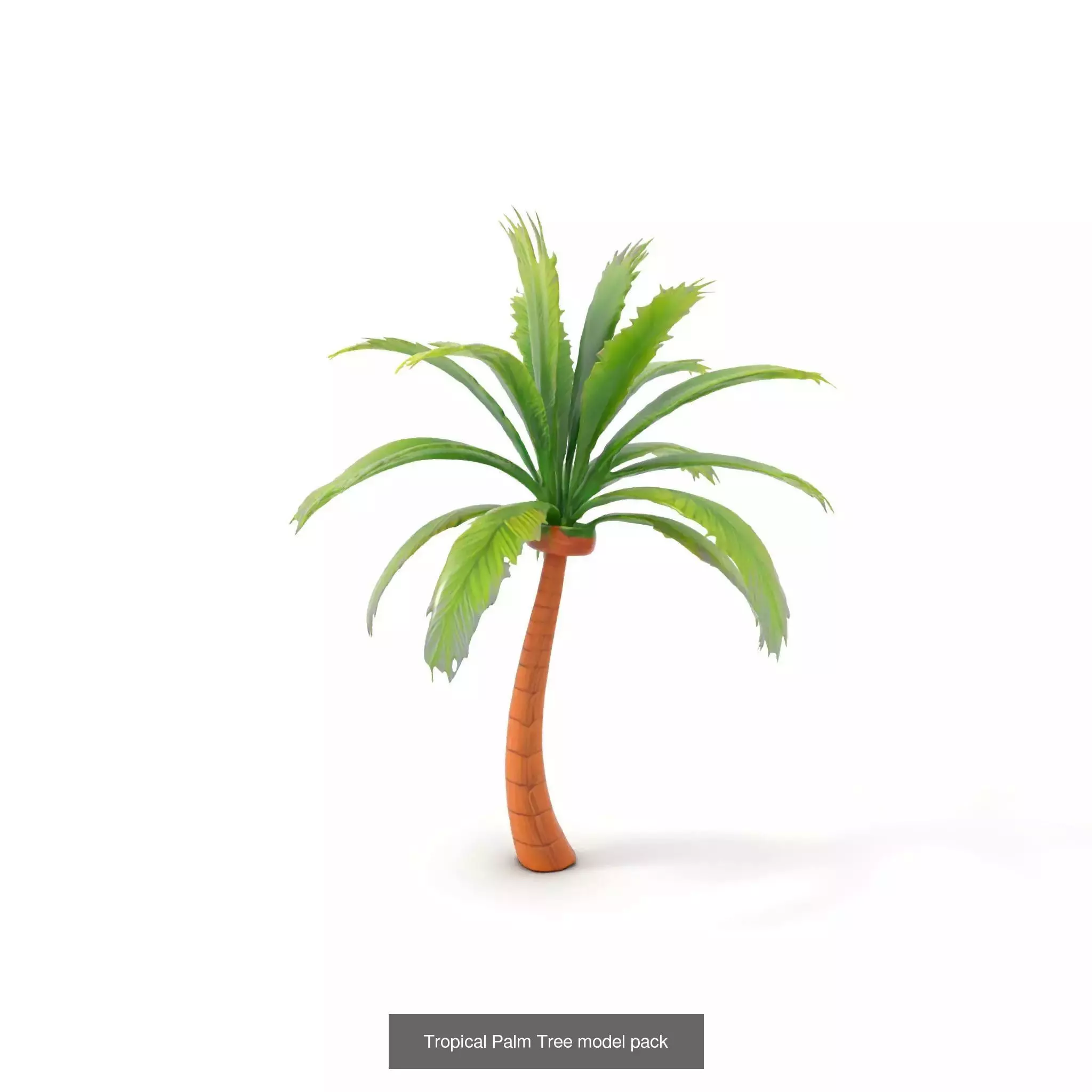 Whimsical Nature Models Pack 3D Model Collection_36