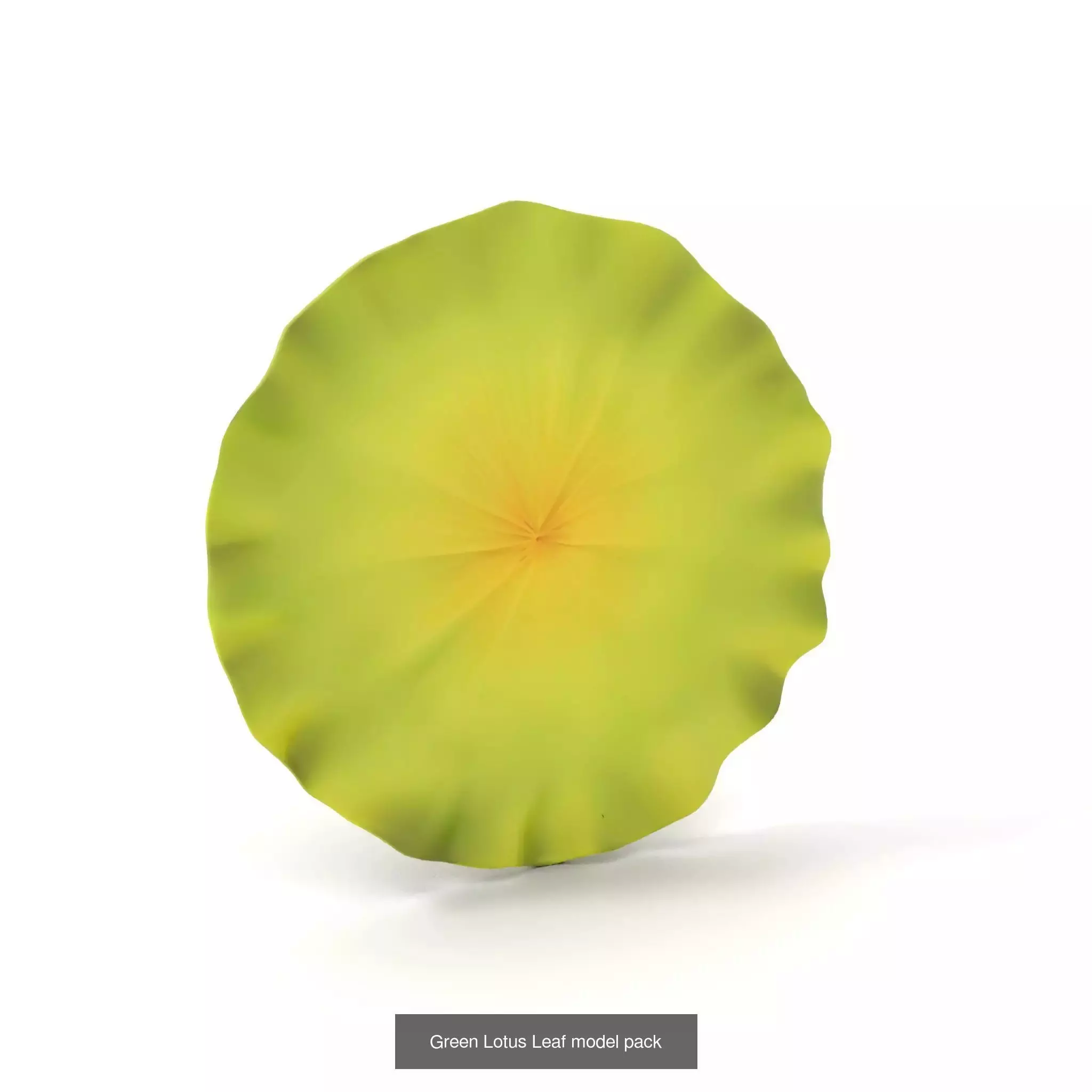 Whimsical Nature Models Pack 3D Model Collection_51