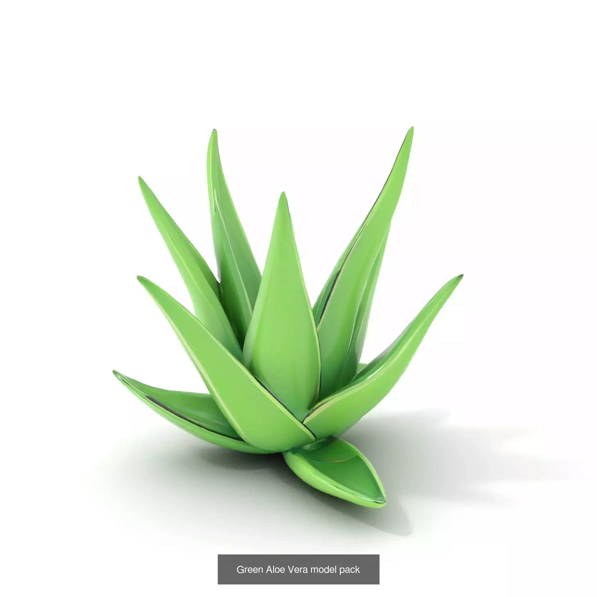 Whimsical Nature Models Pack 3D Model Collection_35