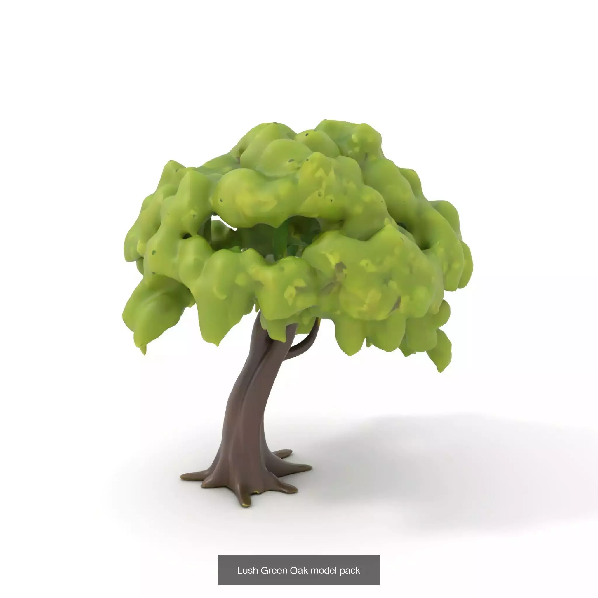 Whimsical Nature Models Pack 3D Model Collection_55