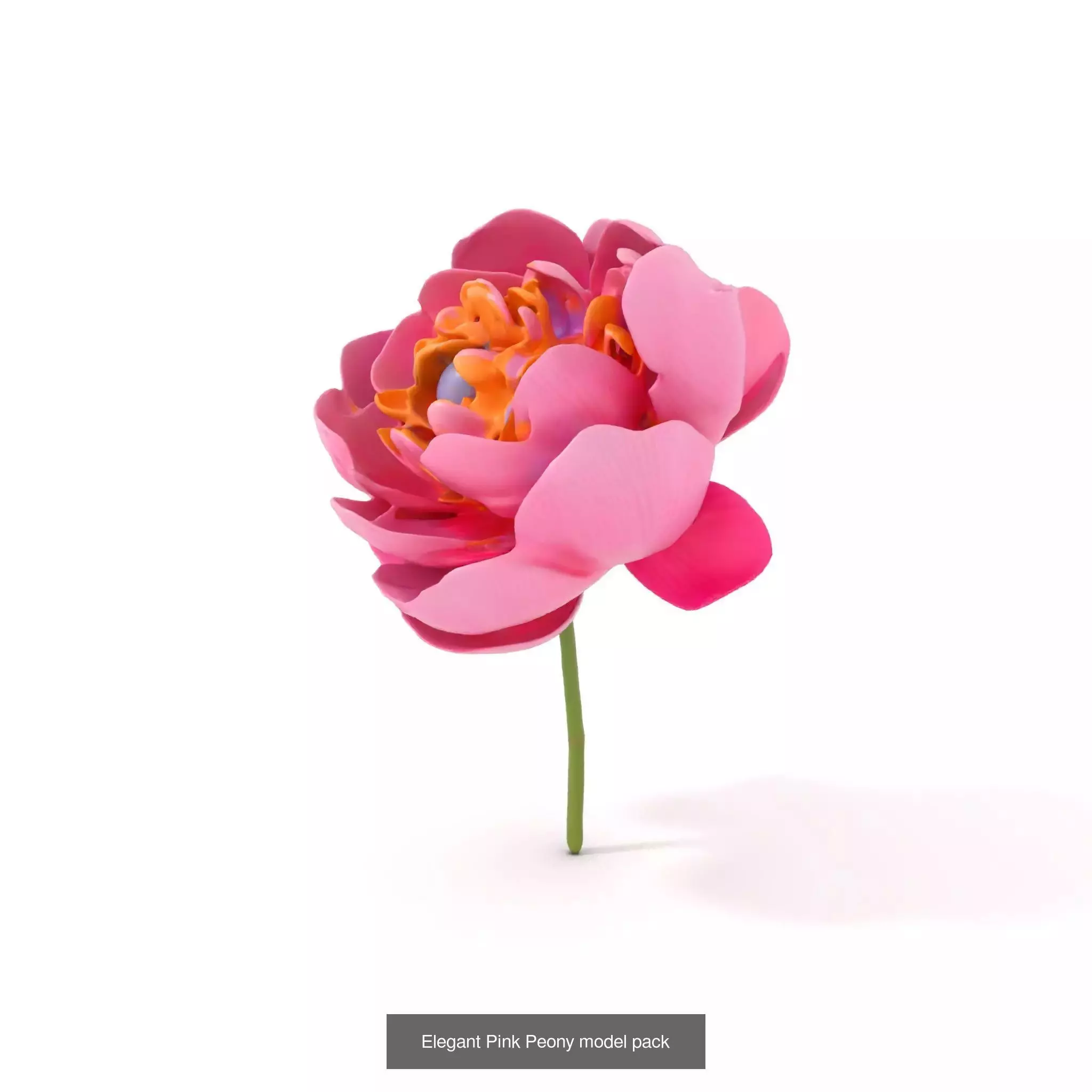 Whimsical Nature Models Pack 3D Model Collection_39