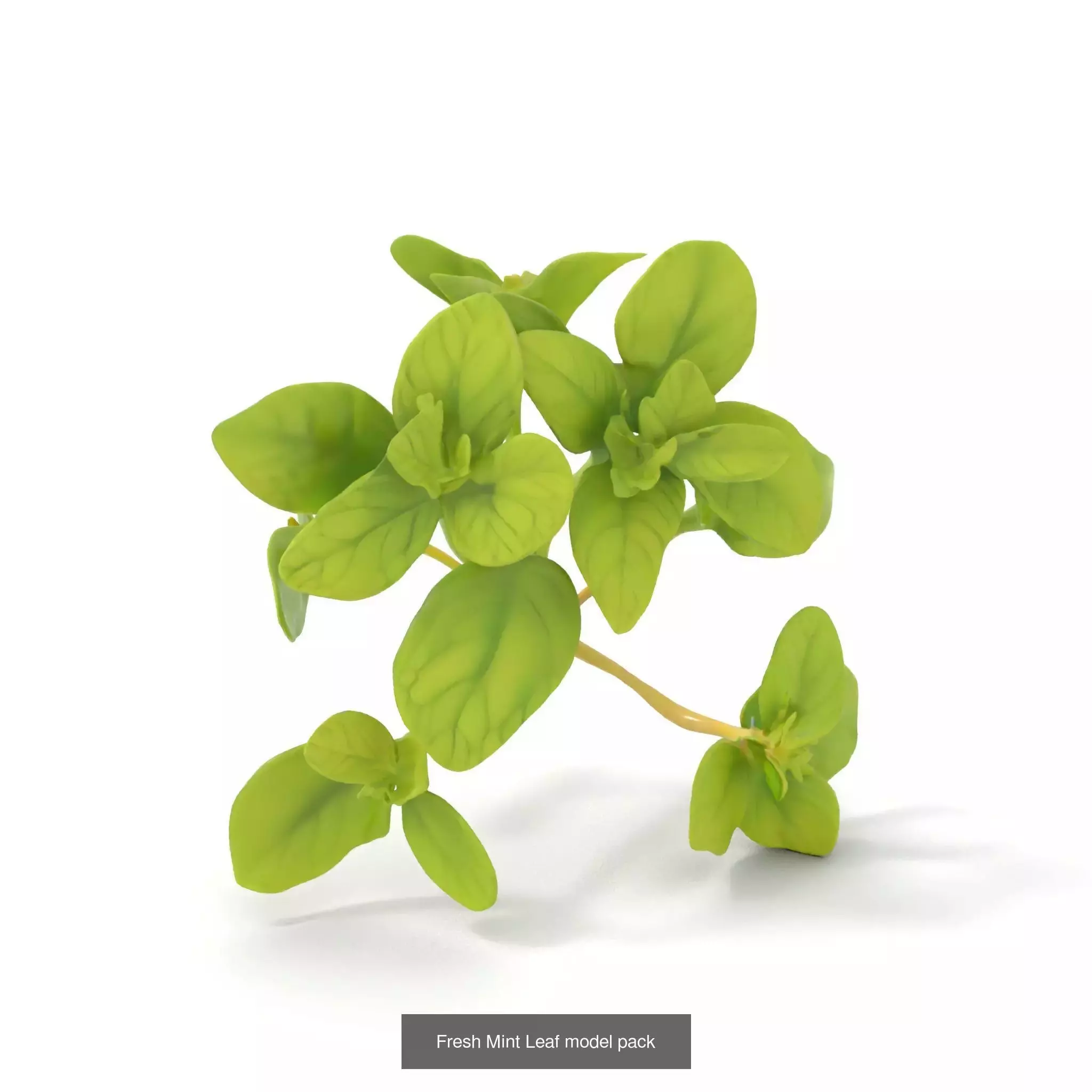 Whimsical Nature Models Pack 3D Model Collection_42