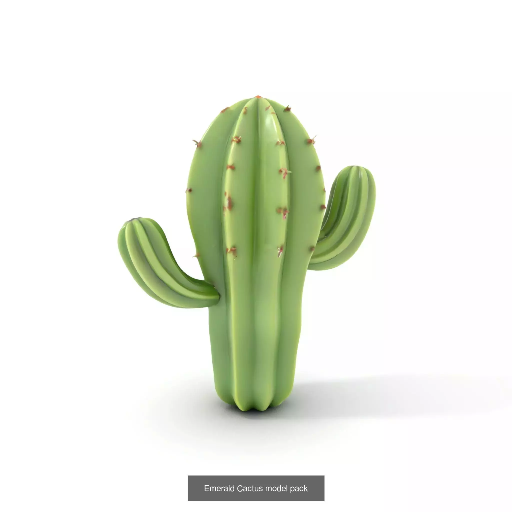 Whimsical Nature Models Pack 3D Model Collection_48