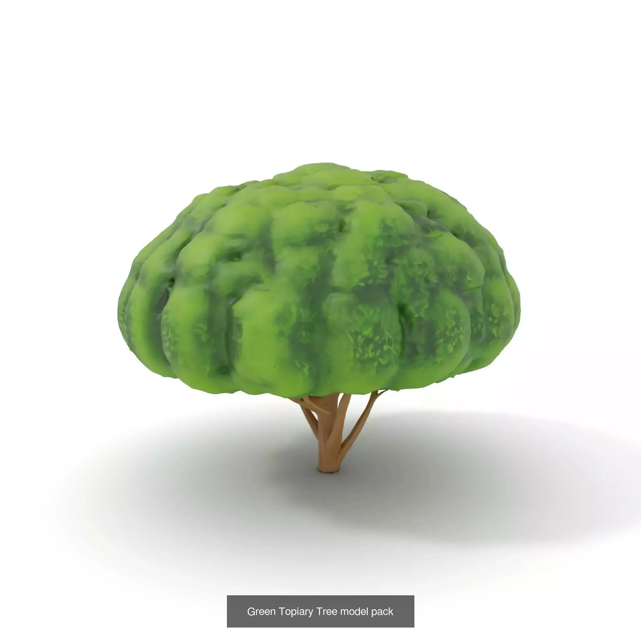 Whimsical Nature Models Pack 3D Model Collection_53