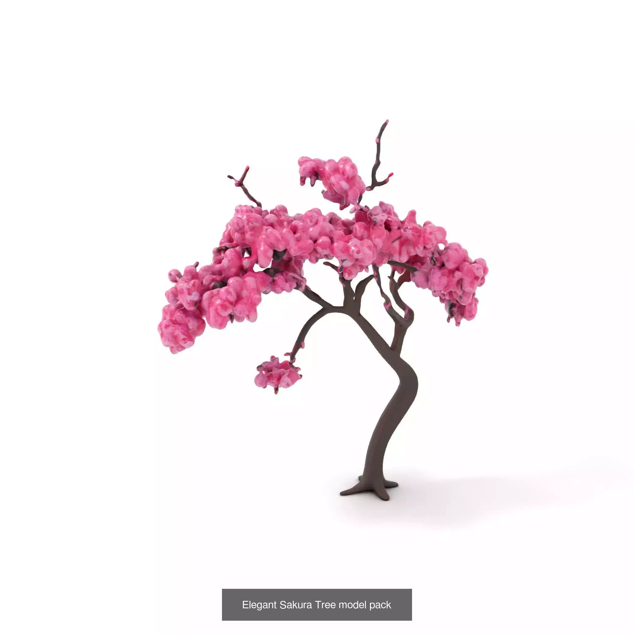 Whimsical Nature Models Pack 3D Model Collection_49