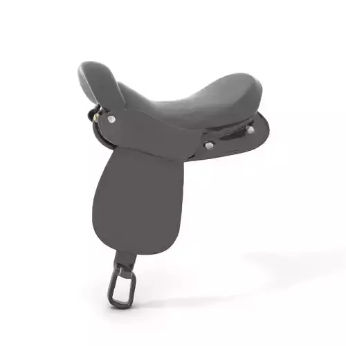 Elegant Black Saddle model pack