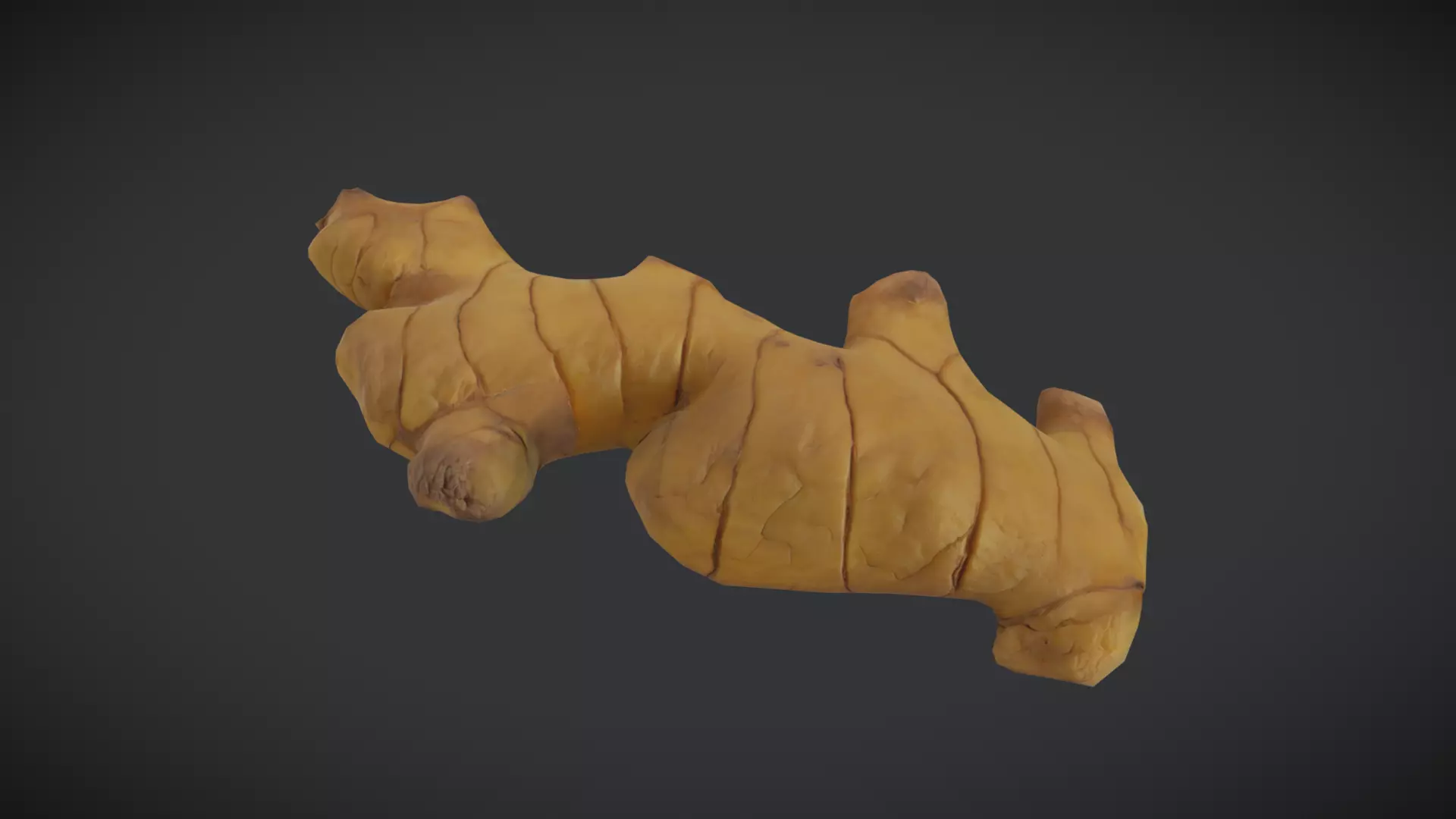 Ginger Low-poly 3D model_0