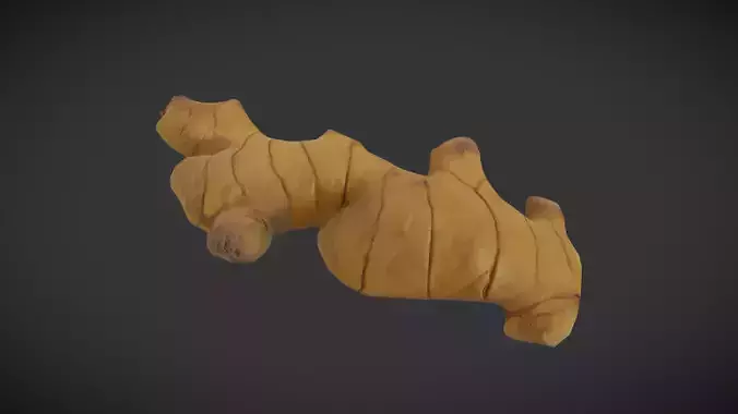 Ginger Low-poly 3D model