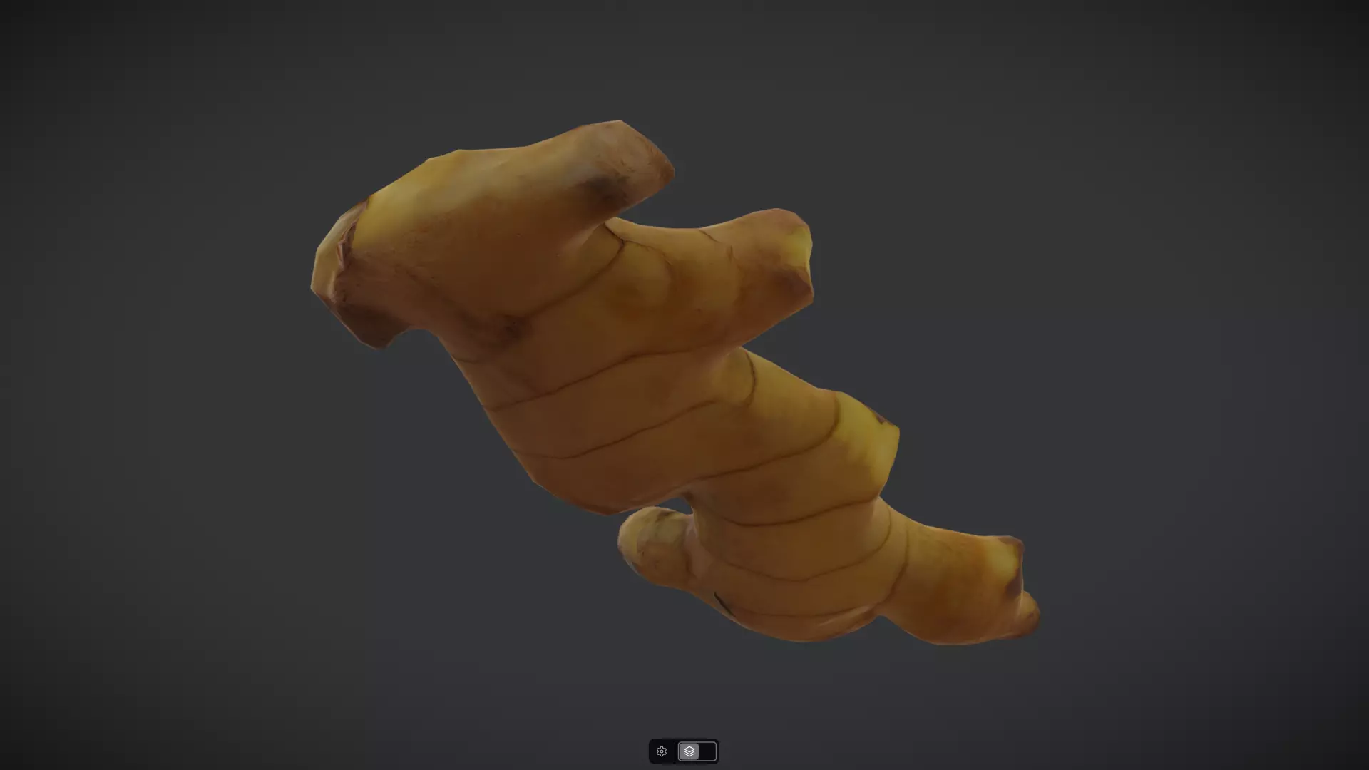 Ginger Low-poly 3D model_3