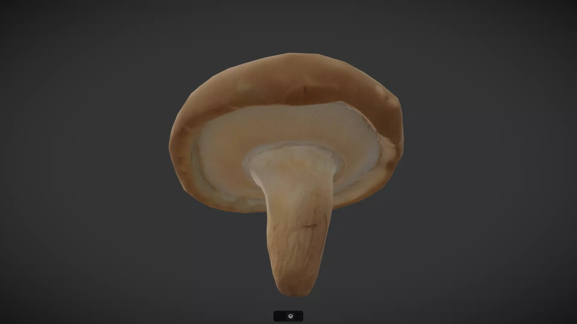 Shiitake Low-poly 3D model_3