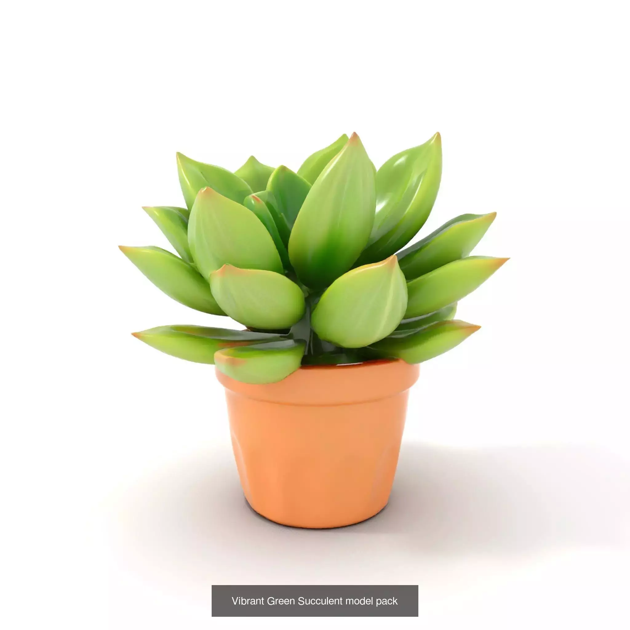 Exquisite Artisan 3D Model Collection _25