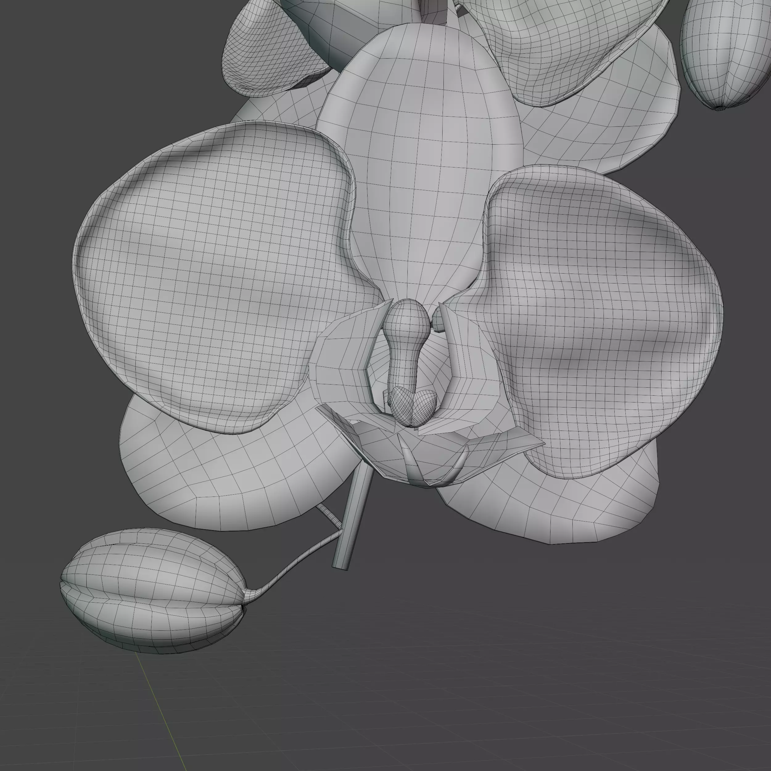 Orchid in Pot 3D Model 3D model_5