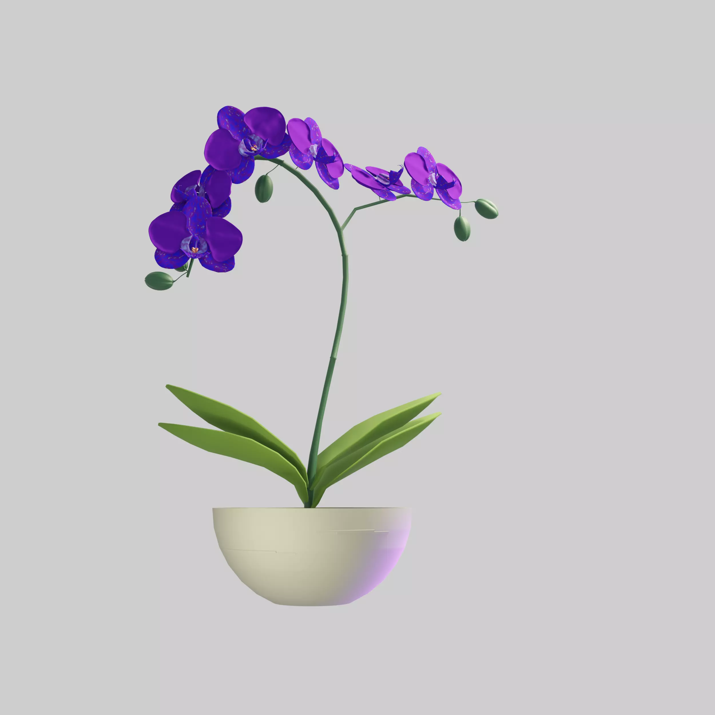 Orchid in Pot 3D Model 3D model_1