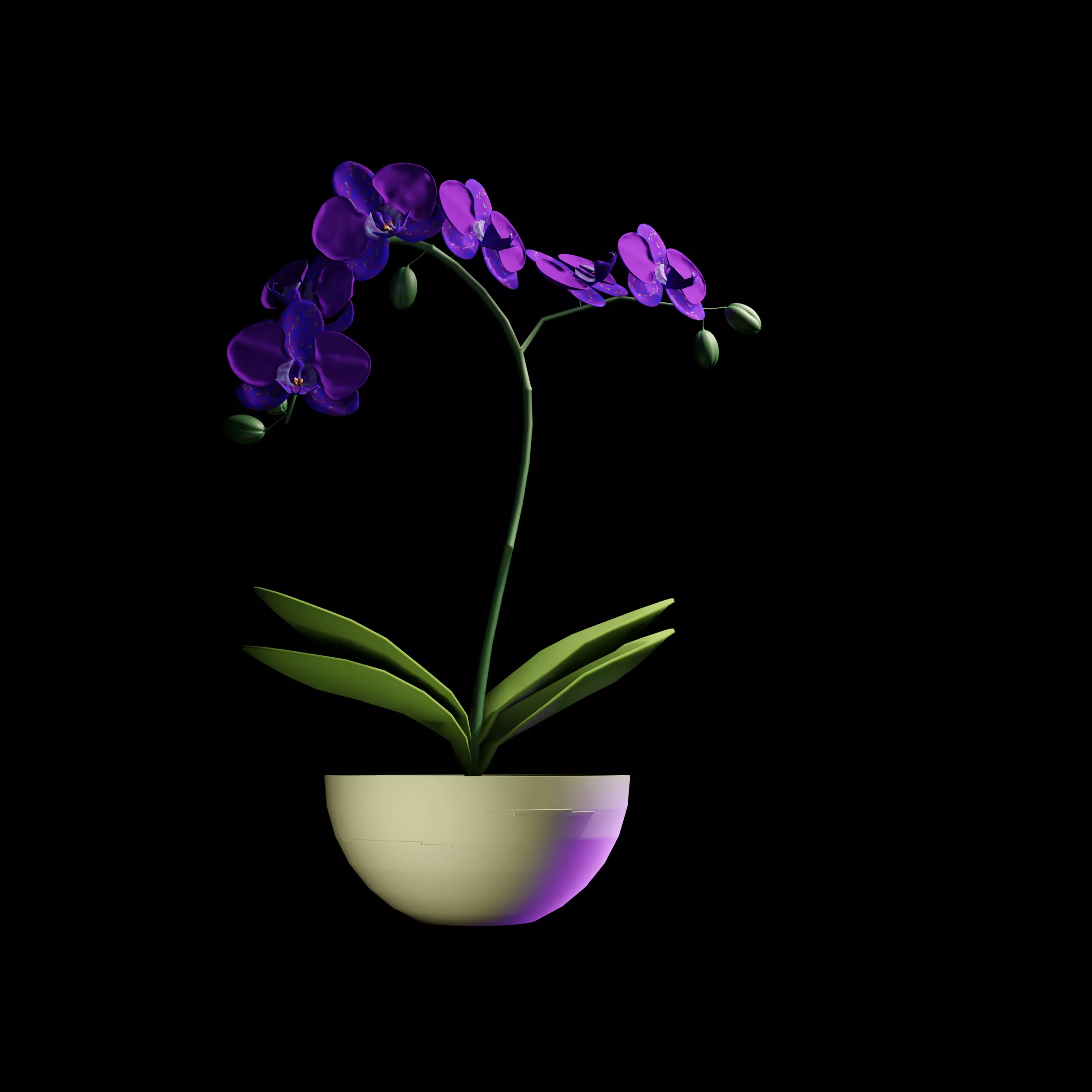Orchid in Pot 3D Model 3D model_0