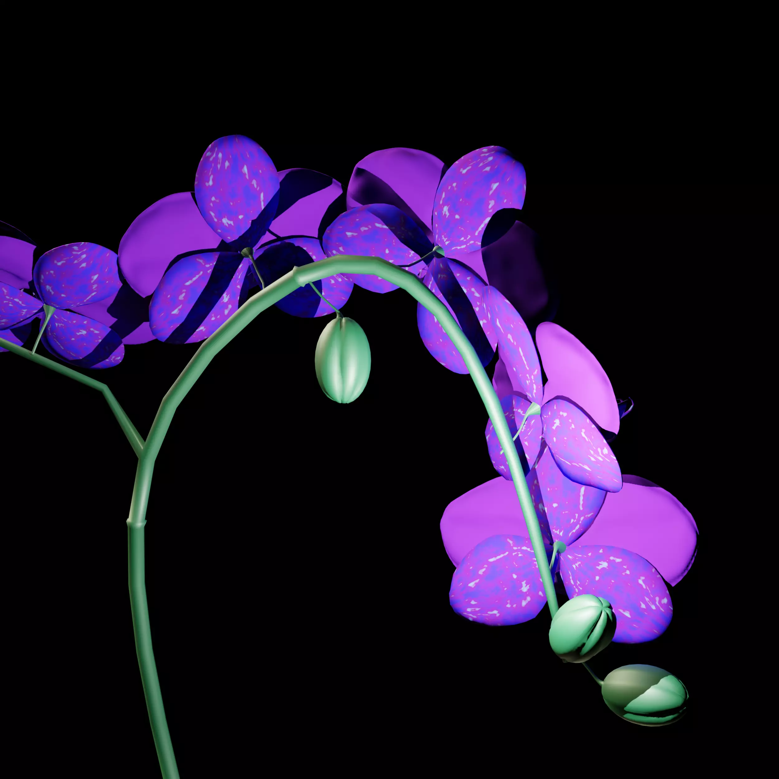 Orchid in Pot 3D Model 3D model_8