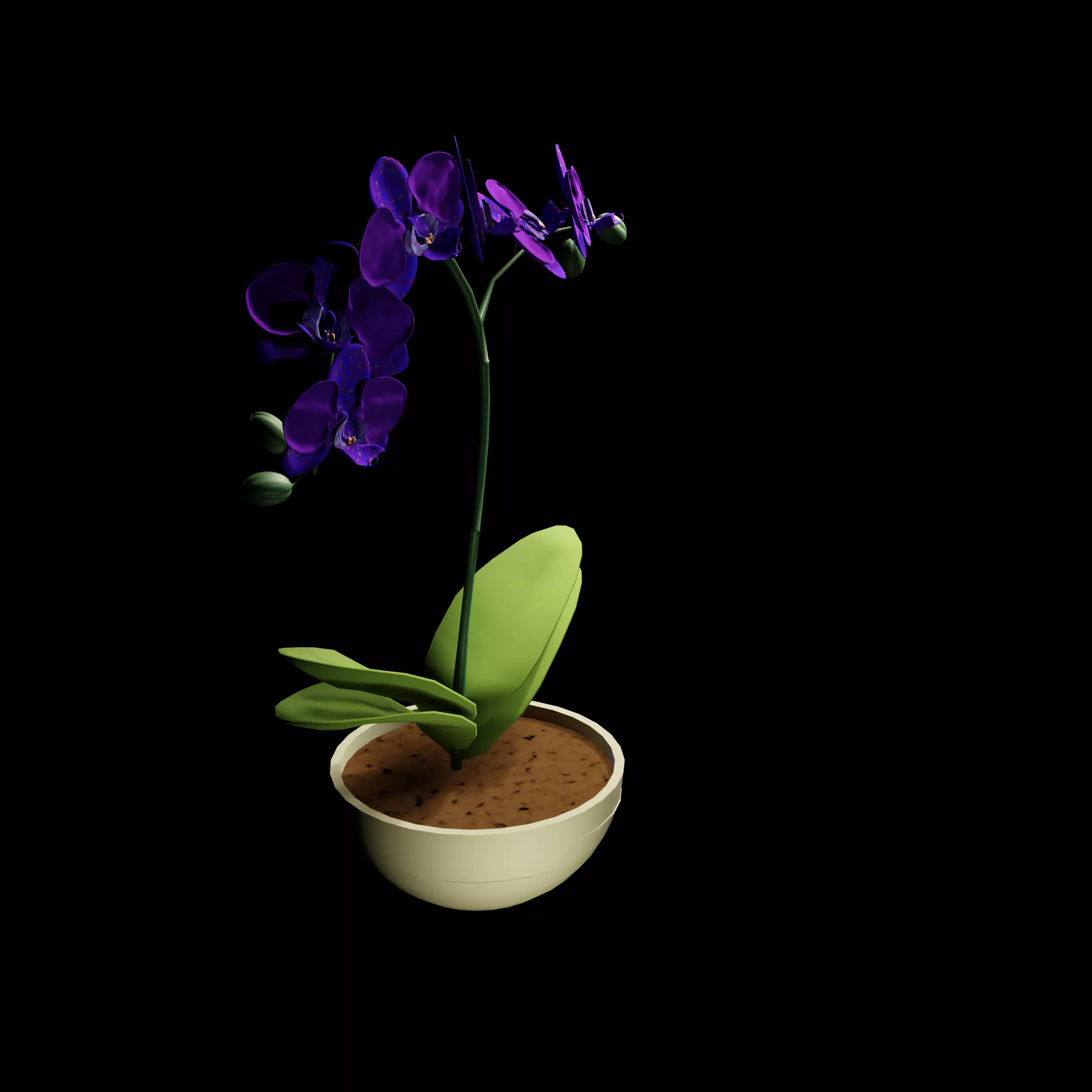 Orchid in Pot 3D Model 3D model_6