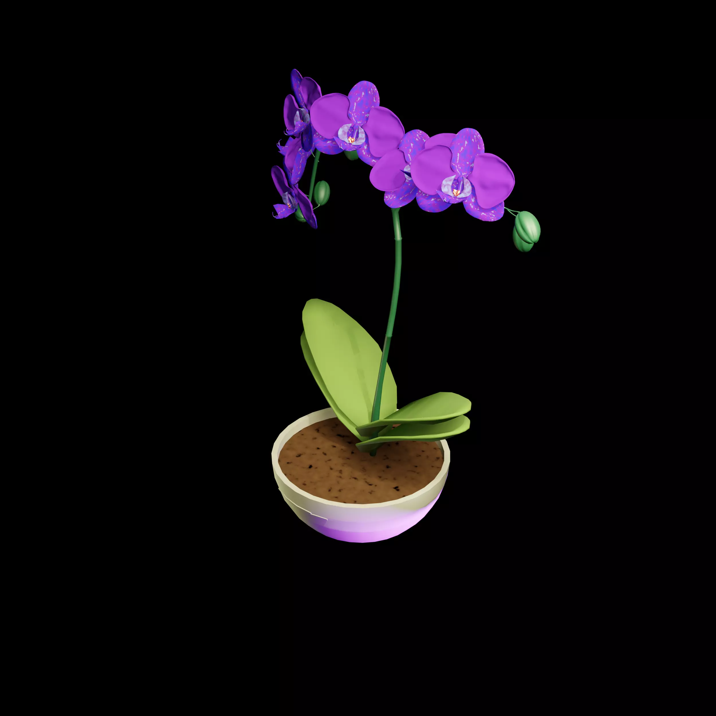 Orchid in Pot 3D Model 3D model_7