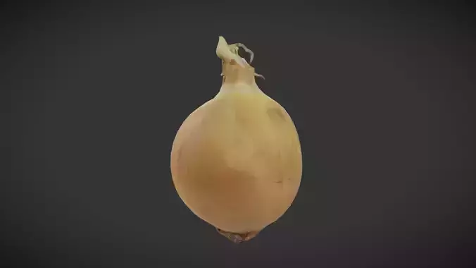 Onion 2