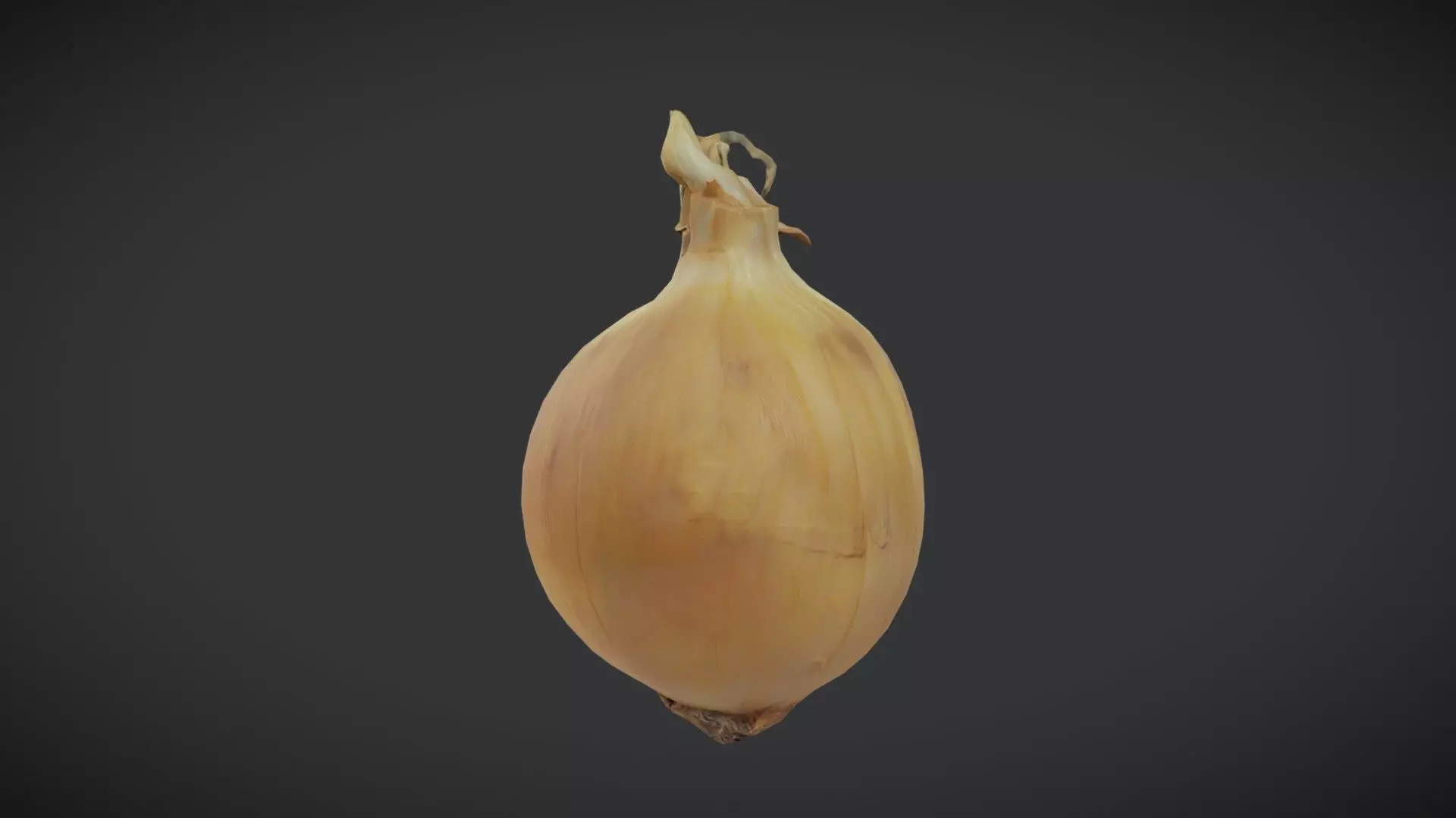 Onion 2 Low-poly 3D model_0