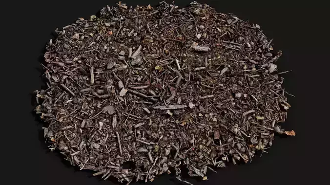 forest ground patch debris pt4 detail PBR photogrammetry
