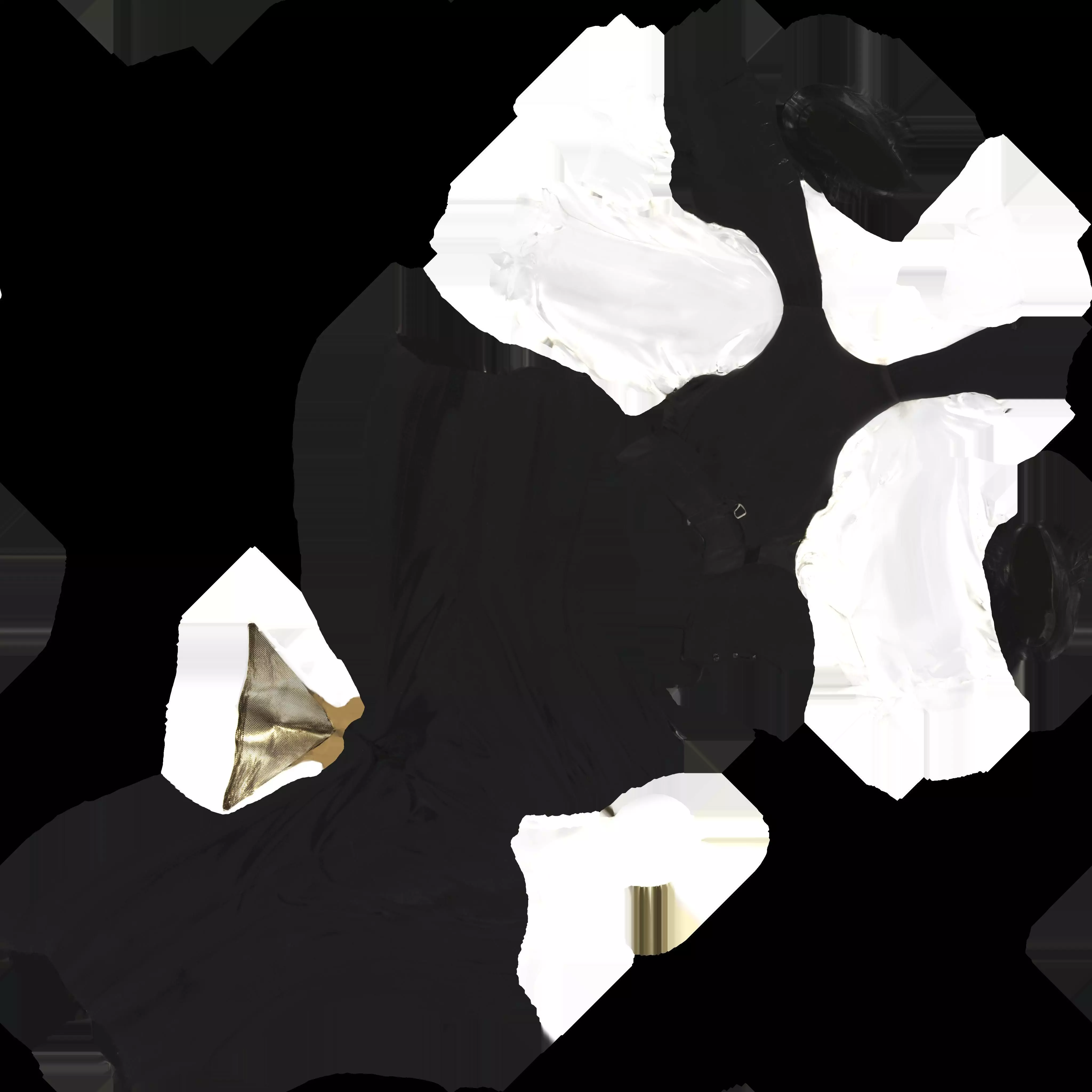 David Bowie gold mask costume 3D model_5