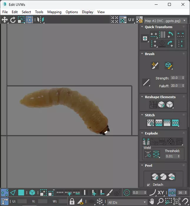 Maggot 3D model_29