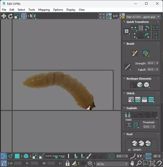 Maggot 3D model_30