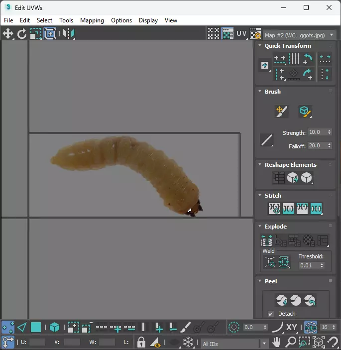 Maggot 3D model_27