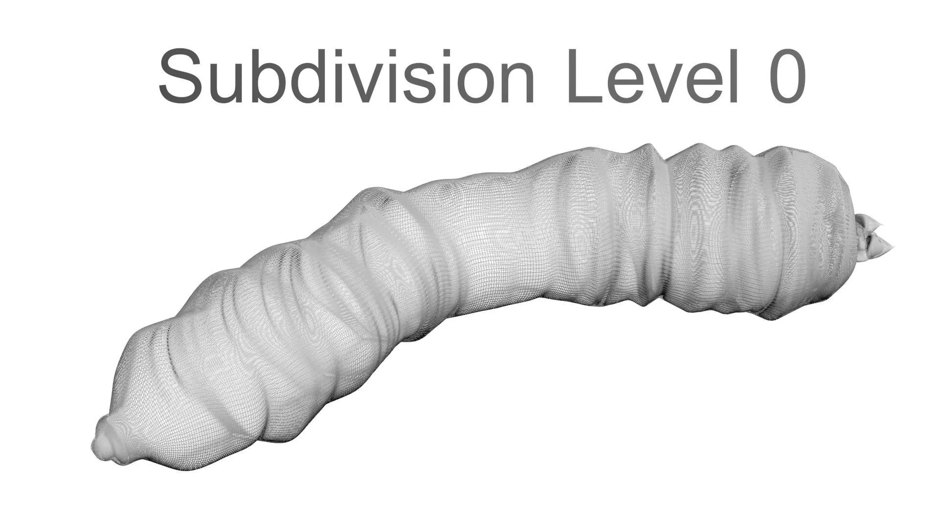 Maggot 3D model_24