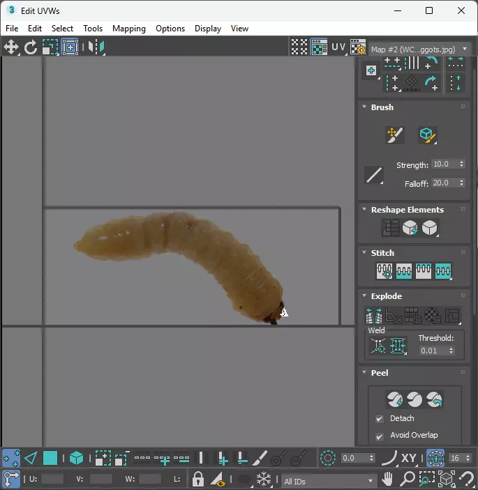 Maggot 3D model_31