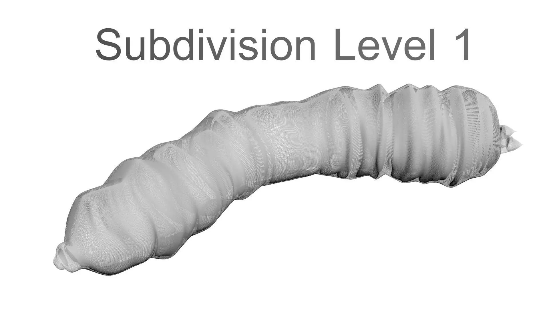 Maggot 3D model_23