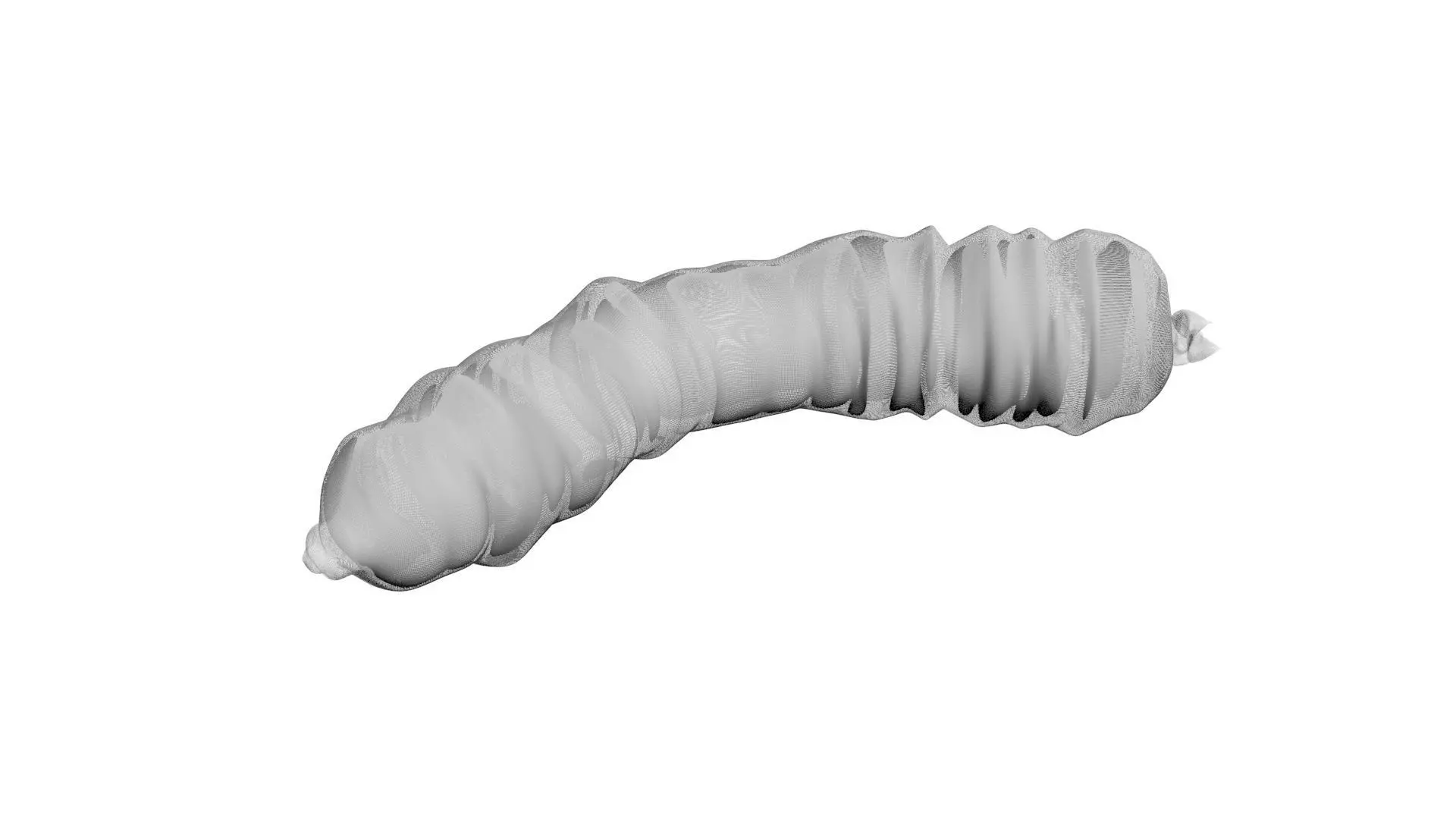 Maggot 3D model_15