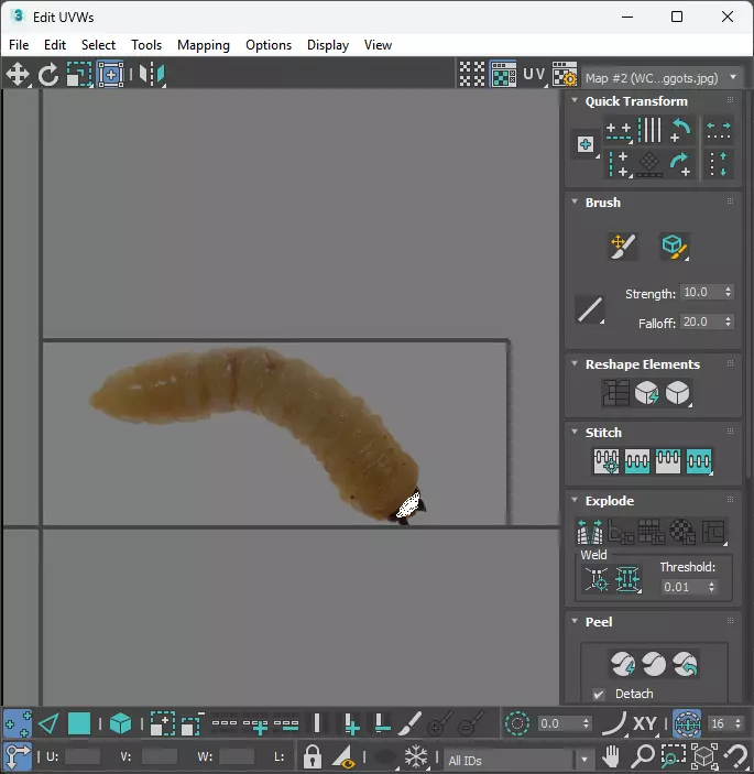 Maggot 3D model_26