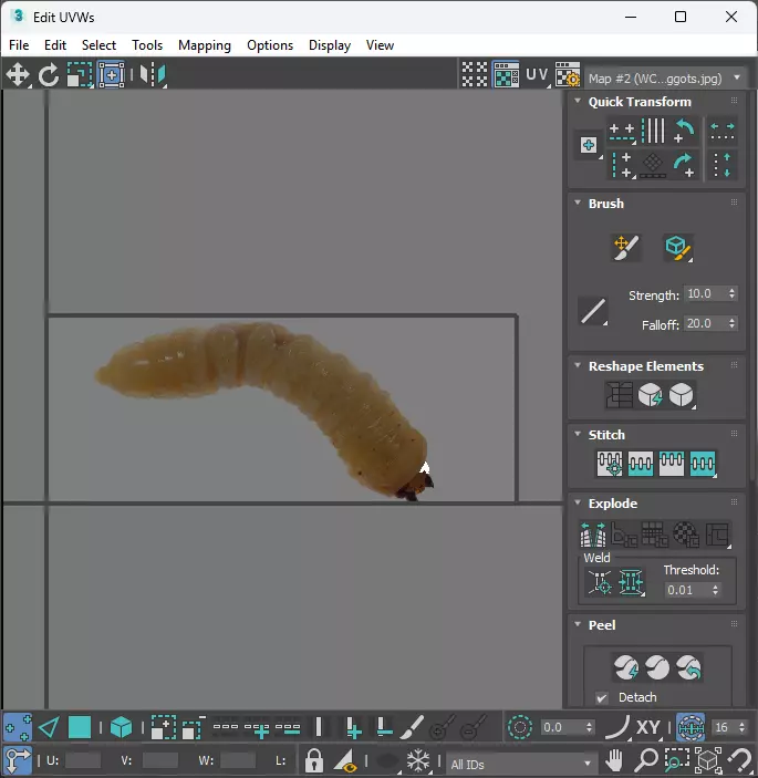 Maggot 3D model_28