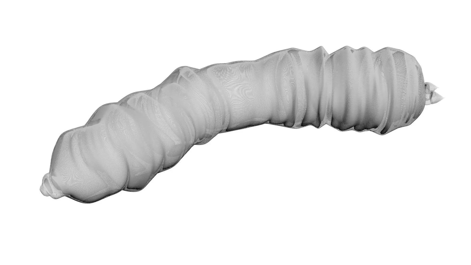 Maggot 3D model_20