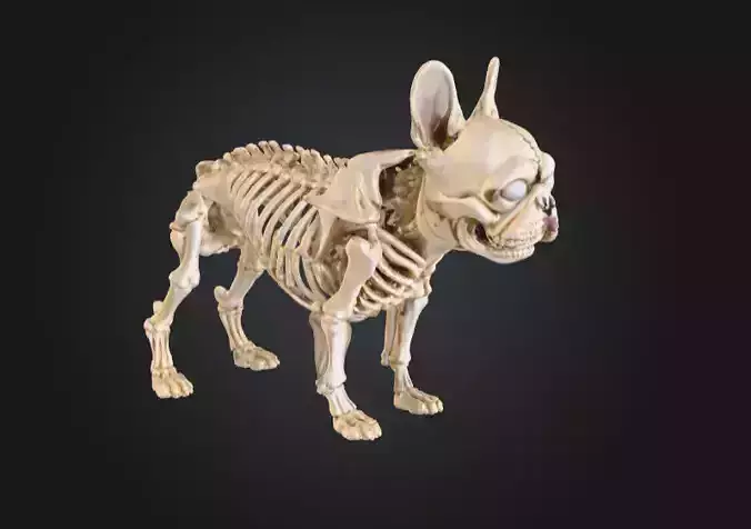 Skeleton Pooch Low-poly 3D model