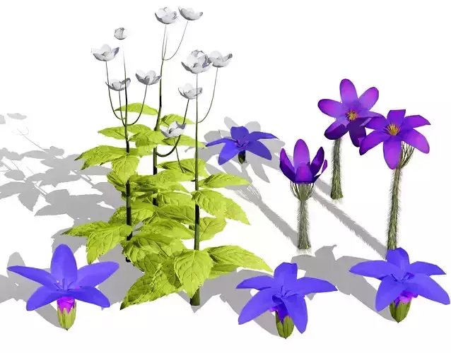 Spring Gentian Pasqueflower 3D Pack