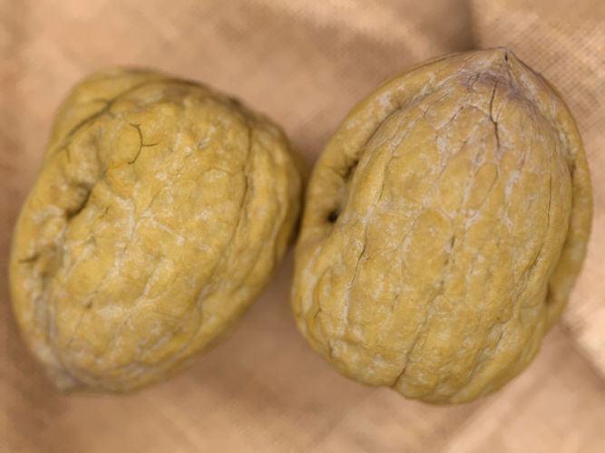 Walnut - Closed and Peeled half 3D model