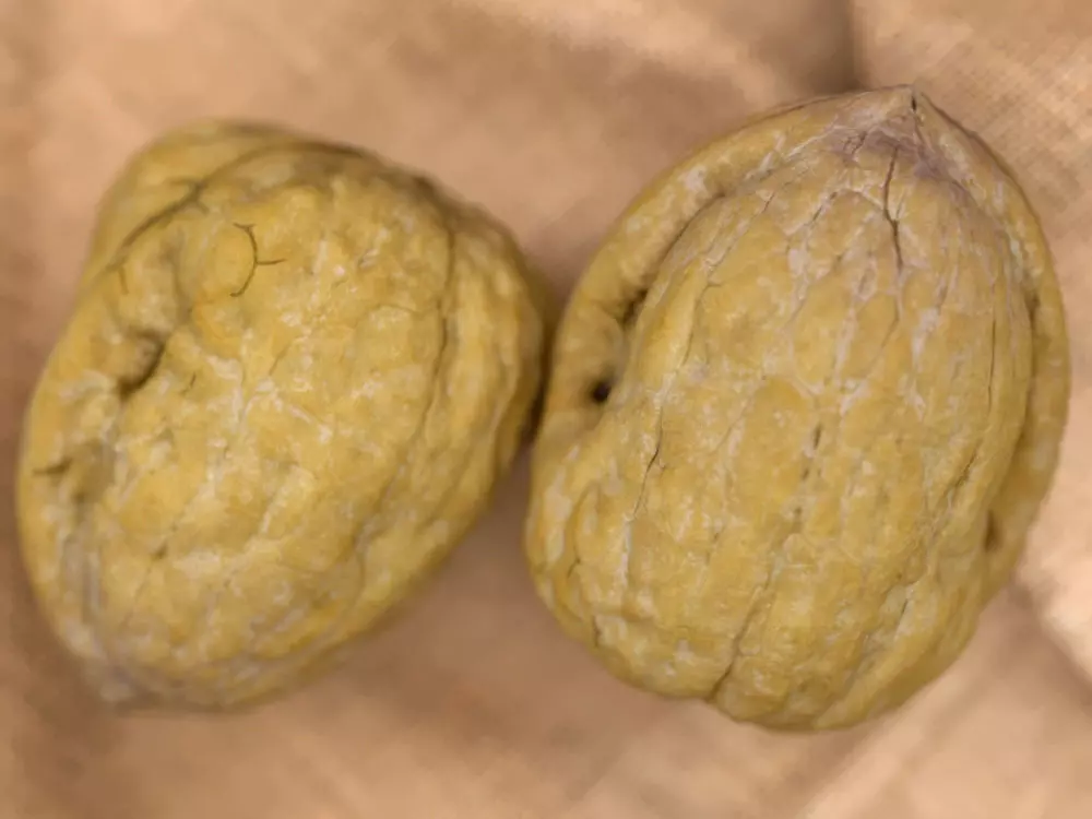 Walnut - Closed and Peeled half 3D model_0